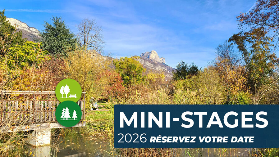 slider-ent-mini-stages-complet-03-2026.jpg